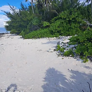 the-blue-pineapple-beach-house.frenchpolynesia-hotels.com/